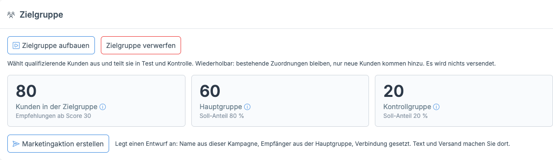 Registerkarte Zielgruppe nach dem Aufbau: 80 Kunden in der Zielgruppe, 60 in der Hauptgruppe, 20 in der Kontrollgruppe.